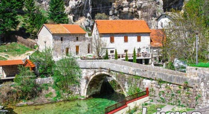 Livno